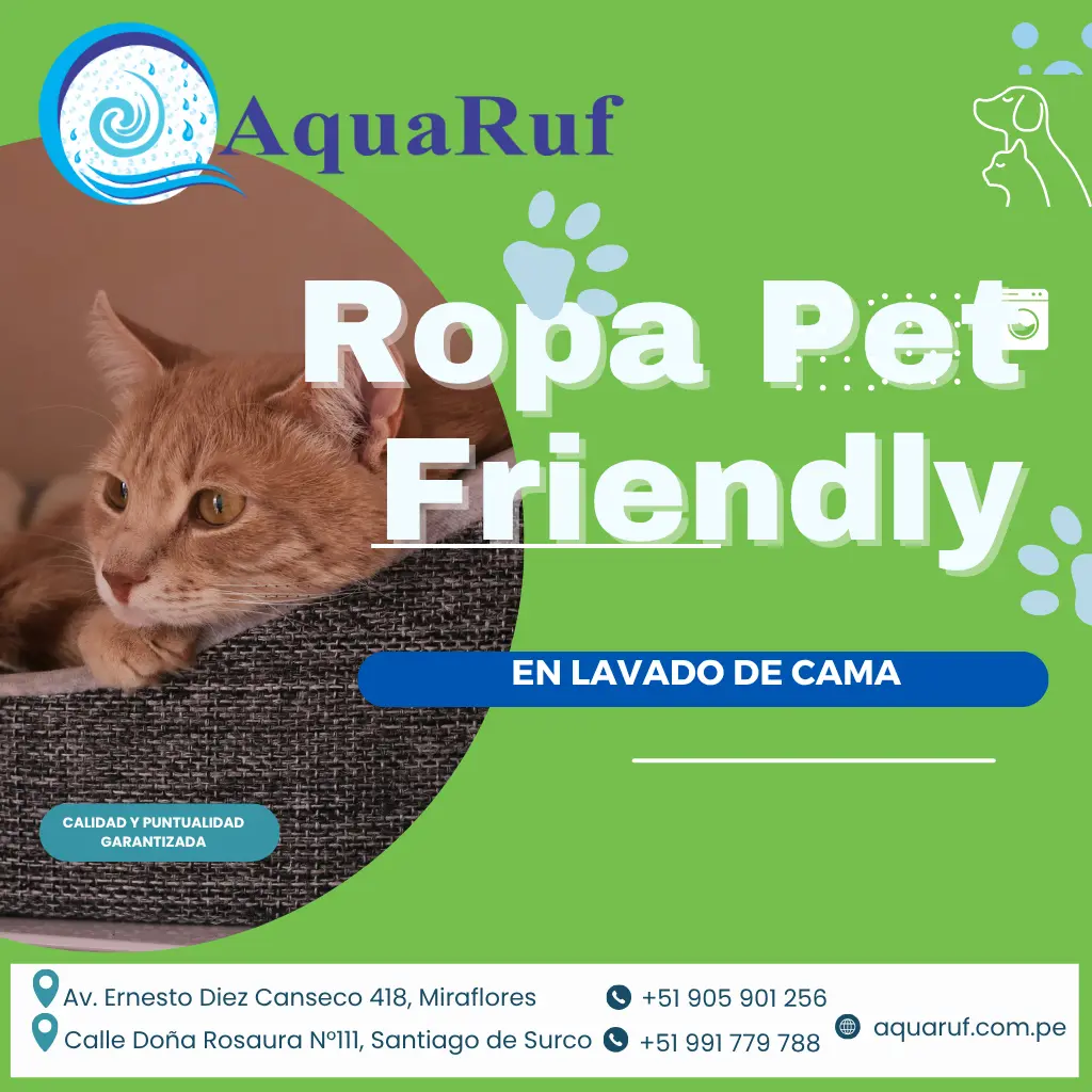 Promo_ropa_de_mascotas (2)